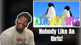 AMERICAN REACTS TO quotA SONG ABOUT BIRDSquot [upl. by Anear]