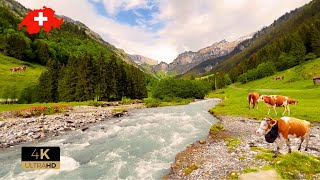 🇨🇭 Most Beautiful Places In Switzerland Lauterbrunnen Grindelwald Mürren Relaxing Walk 4K [upl. by Cirdec227]