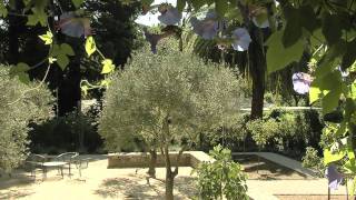 Mediterranean Landscape Design [upl. by Ojyma]