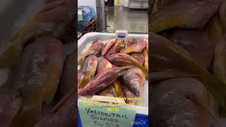 Saturday morning fish market 2200 Signal Pl San Pedro CA 90731 bakpak bakpaktraveler [upl. by Nylhtak]