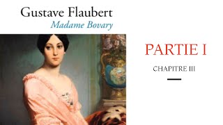 Madame Bovary Gustave Flaubert Moeurs de Province Partie 1 Chapitre III [upl. by Nadabas497]