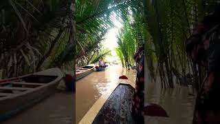 MEKONG RIVER DELTA  best place in Vietnam  Vietnam Tour nature vietnamtourism vietnaminsider [upl. by Baumbaugh397]