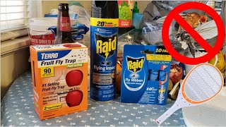 How To Treat Gnats amp Fruit Flies Once And For All  Testing Various Methods [upl. by Tshombe723]