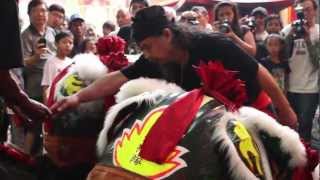 Chapter 6 PGB Bangau putih  Kei Lin  Chinese Barong Dance  Cap Go Meh 2012 Part 2mp4 [upl. by Abbotsen568]