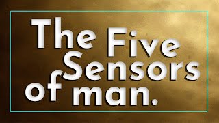 The Five Sensors of man [upl. by Goldsworthy]