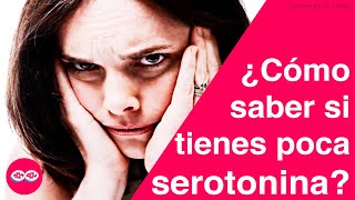 ¿Qué efecto tiene la Serotonina en el Cuerpo  Tecnología sin Límites [upl. by Otrebireh]