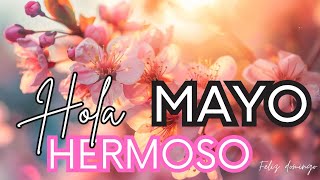 💐🌷🌼🌻❤️🩷🩷🩷Bienvenido mes de mayo Feliz Mayo 💐🌷🌼🌻❤️🩷🩷🩷Bienvenido mayo adios abril 💐🌷🌼🌻❤️🩷🩷🩷 [upl. by Aeniah]