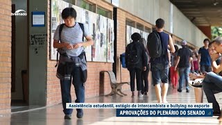 Senado aprova bolsa de R 700 para universitário de baixa renda e medidas contra bullying no esporte [upl. by Alius]