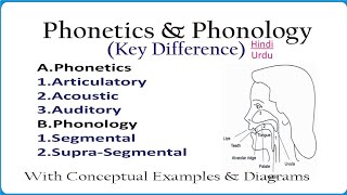 Phonetics and Phonology key Difference amp Similarities in Hindi amp Urdu Linguistics [upl. by Cud154]