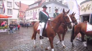 Schützenumzug in Warendorf 22082016 [upl. by Ytsirc]