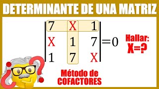 Determinante de una matriz 3x3 por Cofactores con parámetros [upl. by Cassandre]