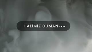 HALİMİZ DUMAN cover [upl. by Altman]