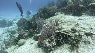 Cozumel  Jan 2024 part 2 [upl. by Antone372]