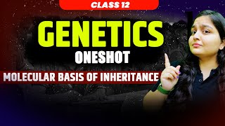 CBSE Class 12th Biology  Genetics One Shot  Molecular Basis Of Inheritance  By Nikita Mam [upl. by Laird143]