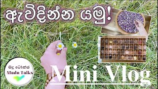 MINI VLOG I END OF SUMMER I ඇවිදින්න යමු Madu Talks [upl. by Lladnew]