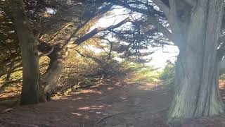 Kapiti Coast on a fine day [upl. by Aicinoid]