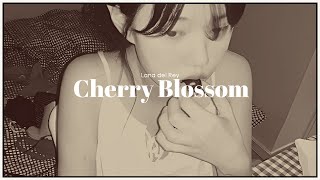 Lana del Rey  Cherry Blossom  letra en español  cleorred [upl. by Ainatnas407]