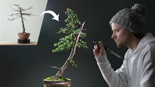 Transformation of a Japanese Larch Bonsai Tree [upl. by Aurthur]