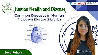 Common Diseases in Human  Protozoan Disease Malaria  Human Health and Disease  L9  Seep Pahuja [upl. by Blinny]