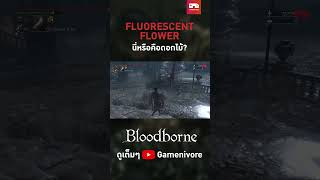 Bloodborne  Fluorescent Flower นี่หรือคือดอกไม้  bloodborne pcgames lore [upl. by Stubbs811]