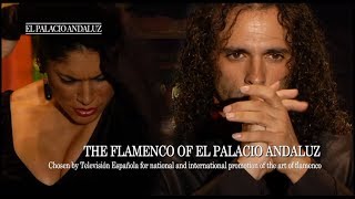 Flamenco Show  Tablao Flamenco El Palacio Andaluz [upl. by Tarryn746]