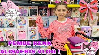 İPEK PEMBE RENK KIRTASİYE ALIŞVERİŞ VLOG  İPEK SÜRPRİZ PAKETİ AÇTI İÇİNDE NELER VAR… [upl. by Namrej678]