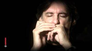 Howard Levy  HOHNER Masters of the Harmonica [upl. by Feodore]