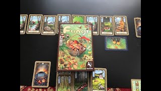 Fungi German version of Morels 2 player card game [upl. by Reizarf]