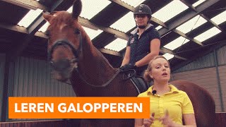 Leren galopperen l PaardenpraatTV [upl. by Isej]