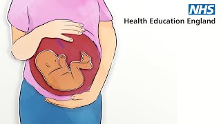 Perinatal and ParentInfant mental health eLearning [upl. by Ilrac]