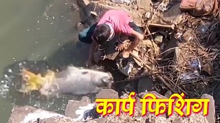 cyprinus carp fishing शिफरन मासे पकडणे tigerfishing [upl. by Kahaleel]