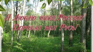 Я Люблю тебя Россия Дорогая моя Русь [upl. by Ishmul]