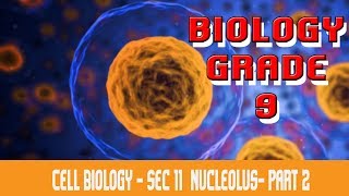 The Cell  Nucleus B  Parts Of Cell  Nuclear Membrane Nucleoplasm amp Nuclear Envelope  Part 11 [upl. by Bartholomew]