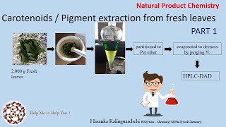 Carotenoidspigments Extraction from Green Leaves part 1 [upl. by Dnaloy]