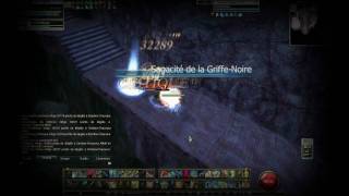 Rappelz Sebol 155 ChampionSoldier Round II Full attak n°2 [upl. by Llehcar]