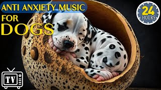 24 Hours of Dog Sleep Music amp Tones to Calm Separation Anxiety 🐶 Calming Stress Relief for Dog Music [upl. by Kcirdet694]