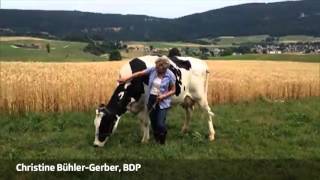 Best of Schweizer Wahlkampf Video 2015 [upl. by Nathan]