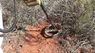 Metal Detecting Gold in Western Australia 2018 pt 3 [upl. by Swan901]