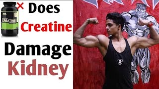 Does Creatine Damage🚫 Kidneys  Yash Anand [upl. by Lemmueu]