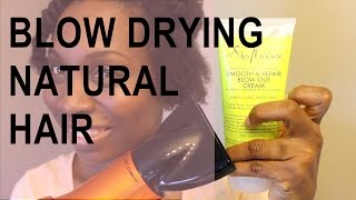 Blow Drying Natural Hair  SheaMoisture Tahitian Noni amp Monoi Blow Out Cream [upl. by Ennayar]