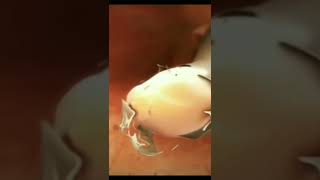 How do filarial worms enter the body  shorts neet biology amazing [upl. by Alemap]