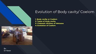 Evolution of Body cavity or Coelom [upl. by Christiano224]