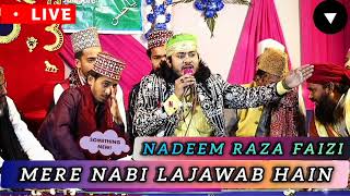 Nadeem Raza Madhupuri  Mere Nabi Lajawab Hain  New Naat 2024 [upl. by Elisha]