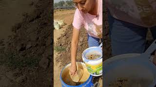 vegetable drenching  kitchen garden indianorganicjourney shorts [upl. by Ohploda]