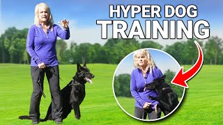 The Trick Dog Trainers Use to Calm and Train Hyper Dogs [upl. by Ehcnalb45]