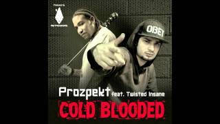 Prozpekt Ft Twisted Insane  Cold Blooded Prod MetroGnome [upl. by Redmund514]