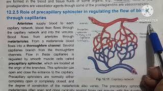 Role of arterioles in vasoconstriction and vasodilation precapillary sphincter [upl. by Anelah]