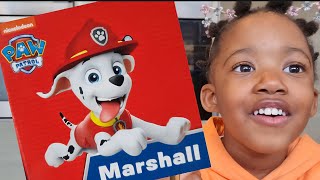 Paw Patrol  Marshall [upl. by Trovillion416]