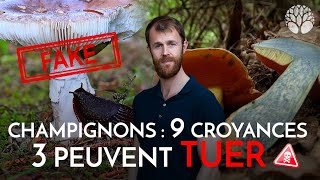 9 croyances populaires sur les champignons dont 3 qui peuvent vous TUER [upl. by Chi980]