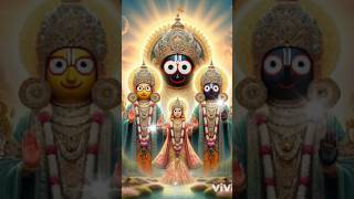 ଚନ୍ଦନ କର୍ପୁର ଝୁଣା ଓ ରାଶି ତେଲ ମିଶ୍ରିତnew Jagannath shorts video 🙏 status video ⭕‼️⭕🙏🪷 [upl. by Brinkema]